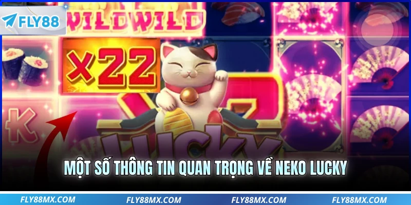 Một số thông tin quan trọng về Neko Lucky